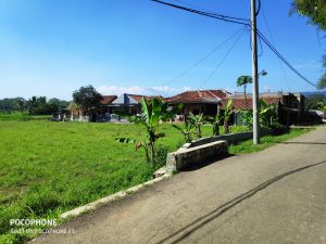 TAMPAK SAMPING 